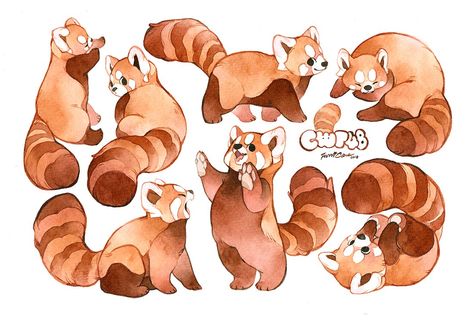 Panda Drawing, Red Pandas, Panda Art, 캐릭터 드로잉, Arte Sketchbook, Dessin Adorable, Animal Sketches, Red Panda, Cute Animal Drawings