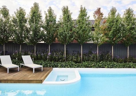 Landscaping Pool, Pool Landscape Design, Modern Landscape Design, Backyard Pool Landscaping, Landscape Plans, Pool Design, Landscaping Tips, Garden Landscape Design, Garden Pool