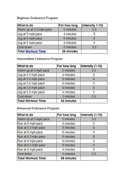 Endurance Running, Running Program, Total Workout, Running Tips, Fitness Tips, Cardio, Diet, Running, Health