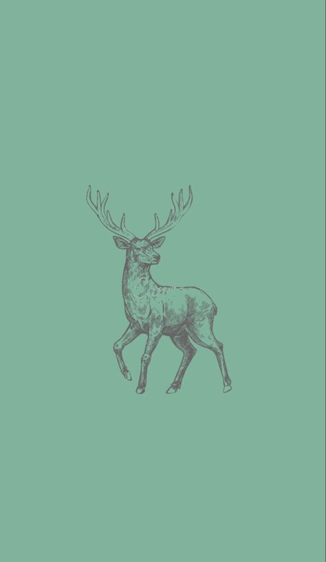 Deer Iphone Wallpaper, Deer Wallpaper Iphone, Minimal Homescreen, Hunting Wallpaper, Wallpaper Forest, Grey Hound, Deer Wallpaper, Unique Iphone Wallpaper, Deer Drawing