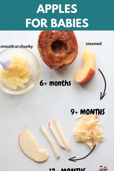 Learn how to safely prepare and serve apple to babies as early as 6 months! You can puree or offer as a finger food for baby led weaning. Apples For 6 Month Old, Finger Food 6 Month Old, Apple Blw Recipes, Blw Apples, 7 Month Old Snacks, Apple For Baby, Baby Led Weaning 6 Months, Blw Foods, Apple Puree For Baby