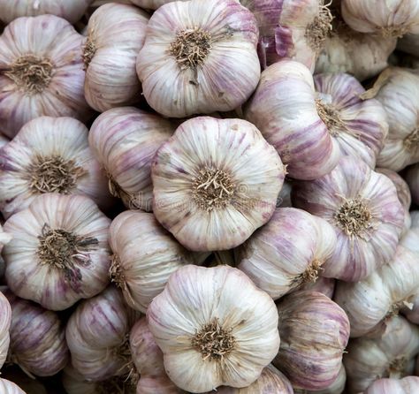 Garlic. A close up of garlic #Sponsored , #sponsored, #SPONSORED, #close, #garlic, #Garlic Garlic Noodles Recipe, Garlic Butter Pasta, Garlic Parmesan Pasta, Garlic Shrimp Pasta, Garlic Roasted Potatoes, Garlic Garlic, Garlic Rice, Chicken Parmesan Pasta, Garlic Bread Recipe