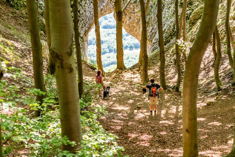 Wandeling Otlica Natural window Vipava Valley, Agritourism Farms, Mountain Lodges, Tourist Agency, Sport Park, Forest Trail, Natural Heritage, Farm Stay, Adriatic Sea