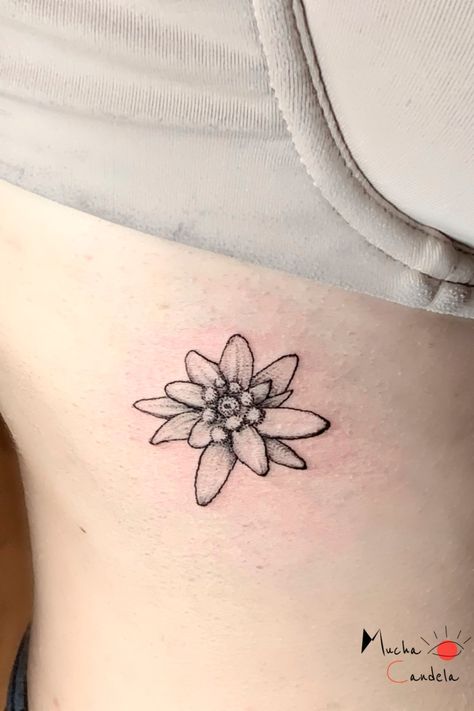 Edelweiss Flower Tattoo, Edelweiss Tattoo, Germany Tattoo, Flower Tattoo Stencils, Health Tattoo, Flower Tattoo Meanings, Tattoos Arm, Edelweiss Flower, Pen Tattoo