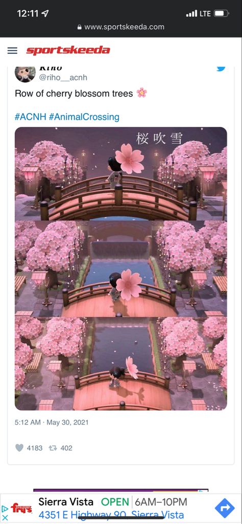 Animal Crossing Sakura Island, Animal Crossing Cherry Blossom Island, Acnh Cherry Blossom Ideas, Acnh Sakura Design, Cherry Blossom Island Acnh, Acnh Cherry Blossom Path, Acnh Sakura Island, Acnh Pink Citycore, Cherry Blossom Animal Crossing