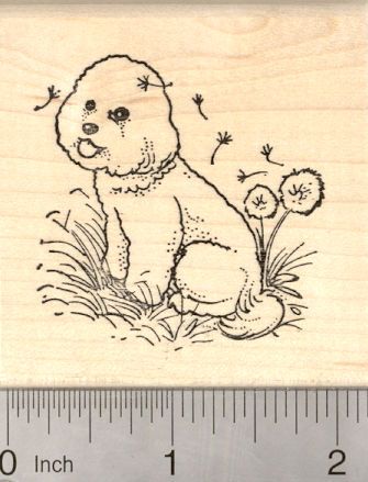 Bichon Frise Dog Rubber Stamps (RubberHedgehog.Com) Bichon Frise Sketch, Bichon Dog, Bichon Frise Dogs, Kinds Of Dogs, Dog Illustration, Bichon Frise, Wood Blocks, Rubber Stamp, Rubber Stamps