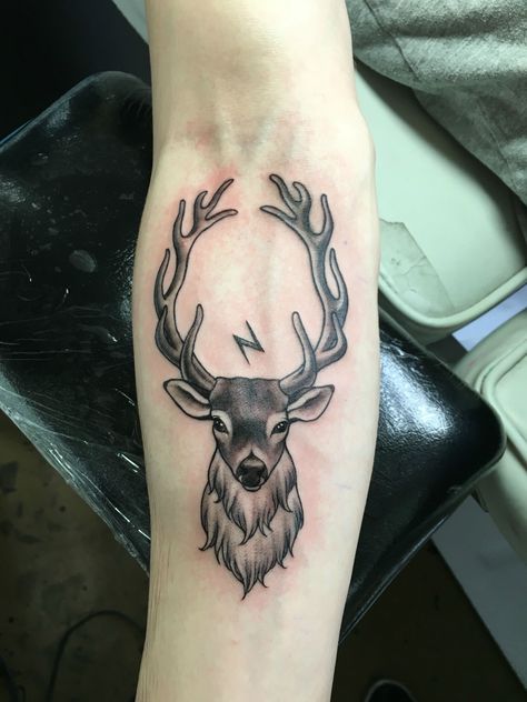 Stag Stag Tattoo Design, Hedwig Tattoo, Deer Tattoos, Elk Tattoo, Deer Tattoo Designs, Stag Tattoo, Hirsch Tattoo, Shiva Tattoo Design, Tattoo Forearm