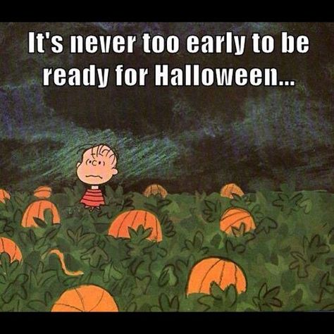 Almost Halloween Halloween Meme, Charlie Brown Halloween, Halloween Memes, Halloween Queen, Halloween Quotes, Theme Halloween, Halloween Pictures, Retro Halloween, Samhain