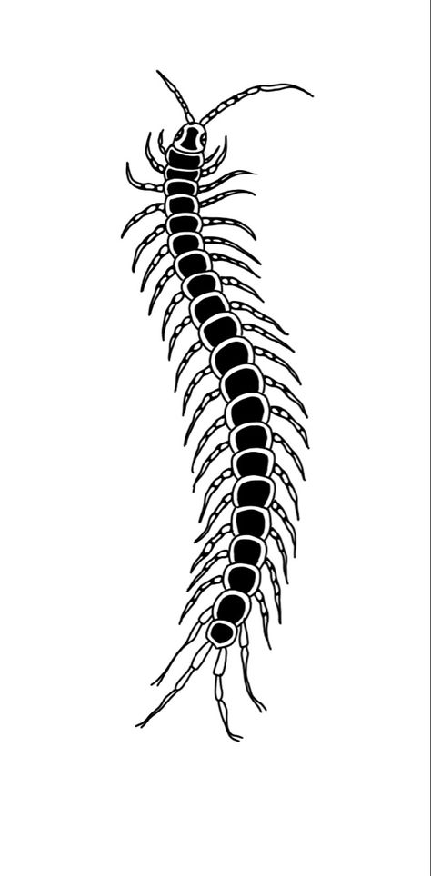 Centipede Tattoo Outline, Centipede Flash Tattoo, Centipede American Traditional Tattoo, Traditional Centipede Tattoo Design, Centipede Tattoo Stencil, Centapeid Drawing, Small Centipede Tattoo, American Traditional Centipede Tattoo, Centipede Spine Tattoo