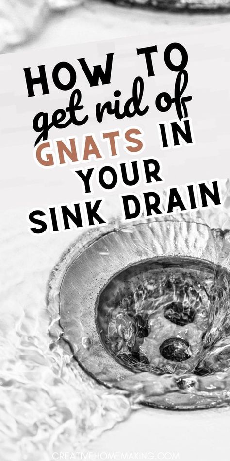 Discover the best ways to eliminate gnats from your sink drain and enjoy a clean, pest-free kitchen. Say hello to a gnat-free home with our simple solutions! Knats Killer Diy Drain, Gnats In Sink Drain, How To Get Rid Of Gnats In The Kitchen, How To Clean Sink Drains, How To Kill Gnats In The House, Gnats In House Get Rid Of, Get Rid Of Gnats In The House, How To Get Rid Of Gnats In House Plants, How To Get Rid Of Gnats In The House