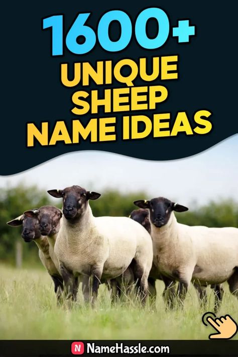 Cool And Catchy Sheep Names Ideas (Generator) Sheep Names, Babydoll Sheep, Names Generator, Sheep Paintings, Literary Characters, Name Suggestions, Wooly Mammoth, List Of Animals, Names Ideas