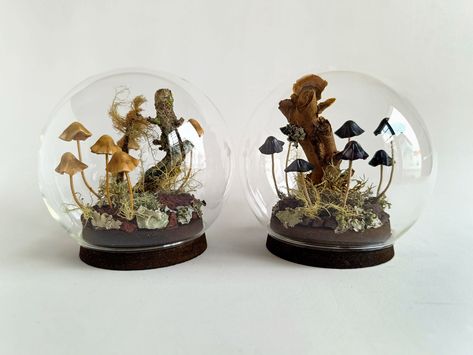 Mushroom Preservation Art, Christmas Terrarium Ideas, Skull Terrarium, Mushroom Terrarium, Mushroom Kits, Glass Cloche, Fairy Lamp, Turkey Feathers, Mushroom Decor