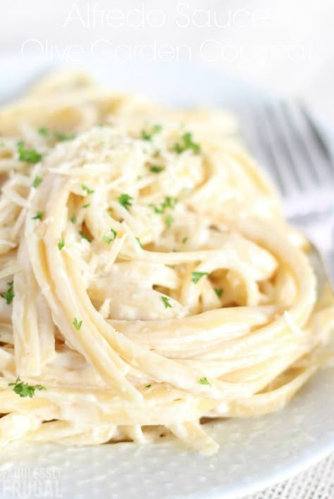 Here's a copycat version of Olive Garden Alfred Sauce Recipe. You can whip this up in 30 minutes or less and it's simply divine! Definitely a crowd pleaser! Low Calorie Alfredo, Alfred Sauce, Olive Garden Alfredo Sauce Recipe, Copycat Olive Garden Alfredo, Olive Garden Alfredo, Olive Garden Alfredo Sauce, Recipe Copycat, Olive Sauce, Pastas Recipes