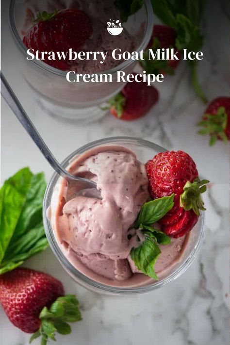 Indulge in creamy sweetness with our Strawberry Goat Milk Ice Cream Recipe! 🐐🍨 A unique and luscious treat that combines the richness of goat milk with the freshness of strawberries. Pure bliss in every scoop! 🌈💕 Goat Milk Ice Cream Recipe, Goat Cheese Ice Cream, Milk Ice Cream Recipe, Basil Goat Cheese, Strawberry Frozen Yogurt, Cheese Ice Cream, Lavender Ice Cream, Protein Rich Snacks, Strawberry Basil