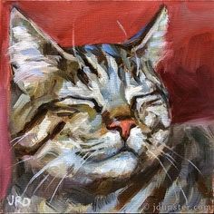 Jennifer Gennari, Pastel Cat, Cat Portrait Painting, Cat Paintings, Artwork Inspiration, Thanksgiving Break, Canvas Art Projects, Cat Tutorial, Cat Art Illustration