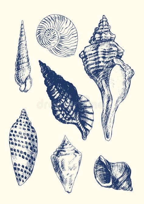 Seashell Drawing, Shell Drawing, Comer See, Small Art Prints, Free Art Prints, Blue Poster, Pinturas Disney, Gcse Art, Art Sketchbook