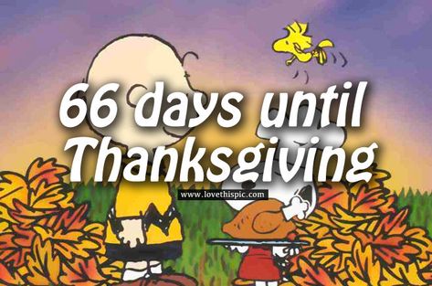 Charlie Brown, 66 Days Until Thanksgiving Countdown thanksgiving thanksgiving images thanksgiving quotes snoopy thanksgiving thanksgiving countdown days until thanksgiving charlie brown thanksgiving 66 days until thanksgiving Thanksgiving Charlie Brown, Snoopy Thanksgiving, Thanksgiving Countdown, Charlie Brown Thanksgiving, Thanksgiving Images, Thanksgiving Quotes, Charlie Brown, Snoopy, Thanksgiving