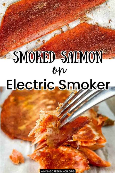 Easy Masterbuilt Smoker Salmon Recipe Salmon In A Smoker, Smoked Salmon Recipes Electric Smoker, Smoker Salmon, Smoked Fish Recipe, Smoked Jerky, Smoked Ham Recipe, Best Smoked Salmon, Masterbuilt Smoker, Smoker Recipes Electric