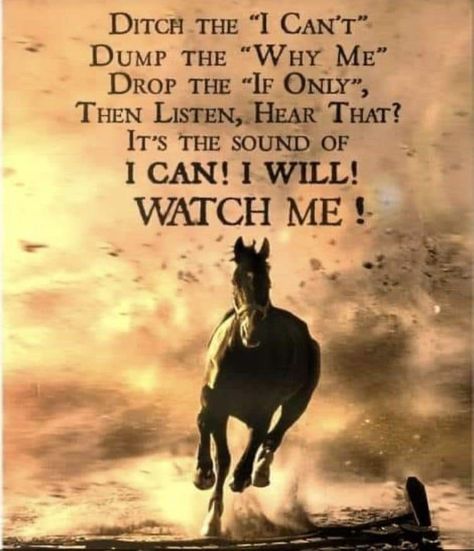 Horsemanship Quotes, Wisdom Quotes Truths, Equine Quotes, Cowgirl Quote, Western Journal, Inspirational Horse Quotes, Western Quotes, Horse Riding Quotes, Cowboy Quotes