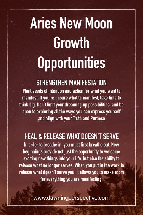 Personal growth opportunities shared in the Aries New Moon Reiki Circle #astrology #aries #zodiac #newmoon #energytherapy #reiki #distancehealing #personalgrowth #mentalhealth  #dawningperspective Aries Party, Aries Journal, Aries New Moon, New Moon In Aries, Chiron In Aries, Moon In Aries, Energy Therapy, Astrology Aries, Spiritual Journals