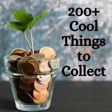 Almost anything can be collected, so if you're looking to get into collecting as a hobby, then look no further than this article for some good collecting ideas. Cool Things To Collect, Things To Collect, Toy Collection Display, Finding A New Hobby, Sale Flyer, Cool Things, Travel Souvenirs, Pampered Chef, Room Ideas Bedroom