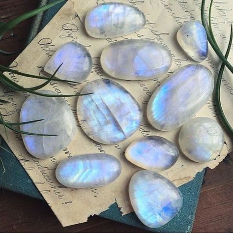 Crystal Aesthetic, Pretty Rocks, Cool Rocks, Moonstone Crystal, Minerals And Gemstones, Moonstone Jewelry, Beautiful Rainbow, Crystal Gems, Minerals Crystals