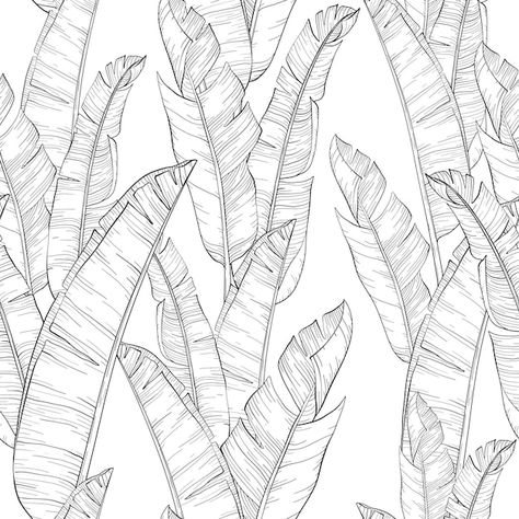 Tropic Wallpaper, Colocasia Plant, Elephant Ear Plant Care, Shade Loving Plants, Banana Leaf Art, Banana Pattern, Elephant Ear Plant, Leaf Outline, Tattoo Outline Drawing