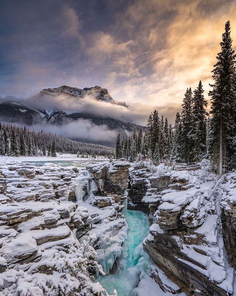 Alberta, Canada on Instagram: “📸 @branden.kolada ••• #mountains #jaspernationalpark #jasper #alberta #sun #sunrise #photography #photooftheday #photographer #waterfall…”