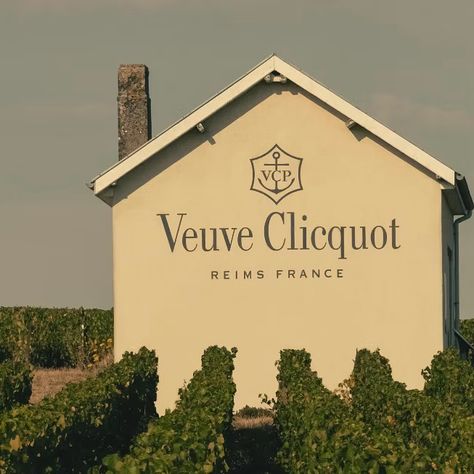 Situated predominantly on gentle slopes, Veuve Clicquot's vines 🍇 benefit from shallow soil and maximum sunlight exposure ☀️. Since its inception, the Maison of Veuve Clicquot has cultivated strong partnerships with fellow Champagne winegrowers, ensuring the consistent quality of its prestigious wines 🥂. 95% of Veuve the vines are classified as Grands or Premiers Crus, while these only account for a quarter of the vineyards in the Champagne region. Each plot’s grape variety is meticulously s... Champagne Region, Veuve Clicquot, French Countryside, Inception, Devon, Soil, Vines, Champagne, Wine