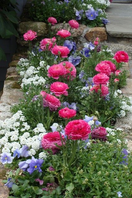 Ranunculus Garden, Flower Bed Designs, Front Yard Garden Design, Cut Flower Garden, Charming Garden, Garden Yard Ideas, Ideas Garden, Gorgeous Gardens, Flower Bed