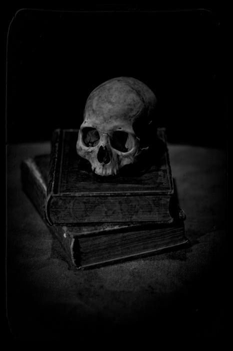 Skull Reference, Momento Mori, Photographie Portrait Inspiration, Nikki Sixx, A Skull, Dark Photography, Old Book, Skull And Bones, Gothic Art