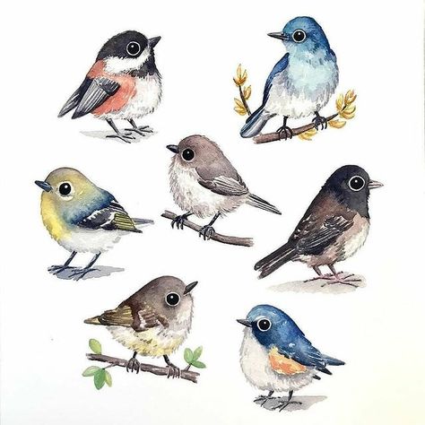 Sketching Watercolor, Watercolor Guide, Bird Artists, Watercolor Blog, Bird Watercolor Paintings, Bird Sketch, Diy Watercolor Painting, Watercolor Projects, Bird Artwork