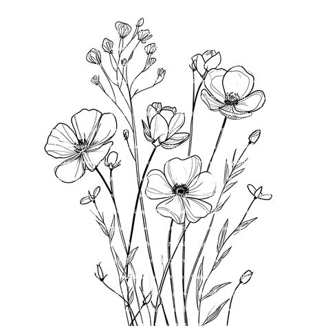 Access a collection of 16 wildflower drawings in black and white. Perfect for digital downloads and printable watercolor clipart. #WildflowerDrawings #Clipart #DigitalDownload Wildflower Clipart Black And White, Western Flowers Drawing, Black And White Flowers Painting, Easy Wildflower Drawing, Flower Clip Art Black And White, Wildflower Sketch Drawings, Fall Flower Drawings, How To Draw Wildflowers, Wild Flower Outline