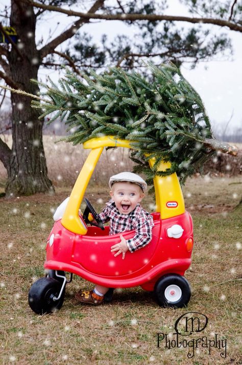 Toddler Christmas Photos, Baby Holiday Photos, Christmas Baby Pictures, Toddler Photoshoot, Seasons Photography, Baby Christmas Photos, Christmas Photo Booth, Christmas Crafts For Kids To Make, Christmas Mini Sessions