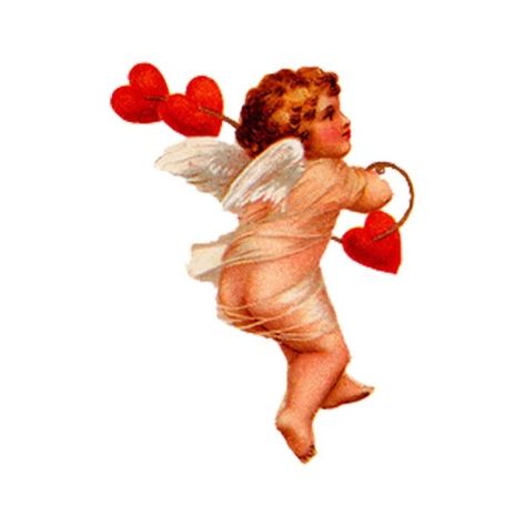 Cupid Drawing, Cupid Images, Vintage Tattoo Design, Comics Girl, Vintage Tattoo, Vintage Valentines, Vintage Images, Vintage Illustration, San Valentino