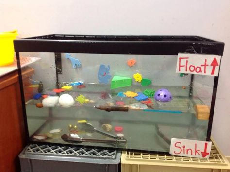 Floating And Sinking Activities Eyfs, Sink Float Preschool Activities, Sink Or Float Science Fair Project, Float And Sink Activities Preschool, Sink And Float Activities, Sink Or Float Preschool, Plants Science Project, Kids Sink, Sensorial Activities