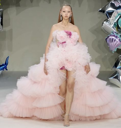 Pink Avant Garde Fashion, Blush House, Mens Runway, Giambattista Valli Couture, Net Gowns, Ruffle Prom Dress, Im So Fancy, Fashion Couture, Fantasy Theme