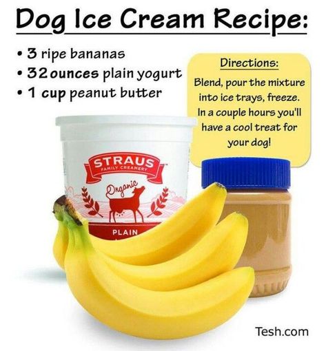 Dog Ice Cream Recipe, Lou Dog, Dog Ice Cream, Healthy Dog Treats Homemade, Dog Treats Homemade Recipes, Food Dog, Diy Dog Treats, Puppy Treats, Ice Cream Treats