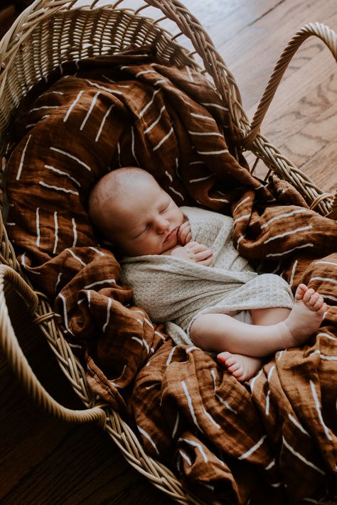 Lifestyle Newborn Photography Moses Basket, Neutral Newborn Photos, Alexis Michelle, Fall Newborn Pictures, Fall Newborn Photos, Nursery Photoshoot, Buffalo Photography, In Home Lifestyle Session, Fall Newborn