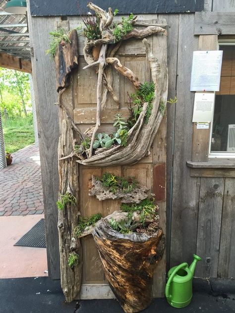 Greenhouse Doors Ideas, Picket Fence Garden, Outdoor Fireplace Pizza Oven, Succulent Display, Garden Gate Design, Vintage Doors, Garden Junk, Fence Decor, Driftwood Crafts