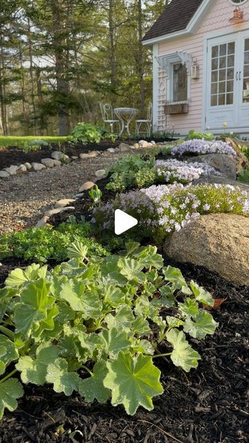 Erin Clark ~ Cottage Gardens on Instagram: "Spring gardens are a reminder that we can all start fresh!! No matter where you are in life, it’s not too late! Just as these beautiful Emerald Blue creeping phlox started out as old straggly stems, we too can flourish with some proper self care. We can add our own sunshine, nourishment and water to become better versions of ourselves! As I’m getting older, I’ve been taking some time to really figure out what’s important in life and focusing on the things that matter so I don’t end up old and straggly myself! Lol Gardening fulfills two very important tasks in staying young; stress reduction and physical activity, all rolled into one! If you don’t keep moving, you will stop moving all together😩 @drmarkhyman 
•
•
#gardeningforwellbeing #gardeningi Spring Gardens, Creeping Phlox, Things That Matter, Emerald Blue, Cottage Gardens, Getting Older, Become Better, Stay Young, Physical Activity