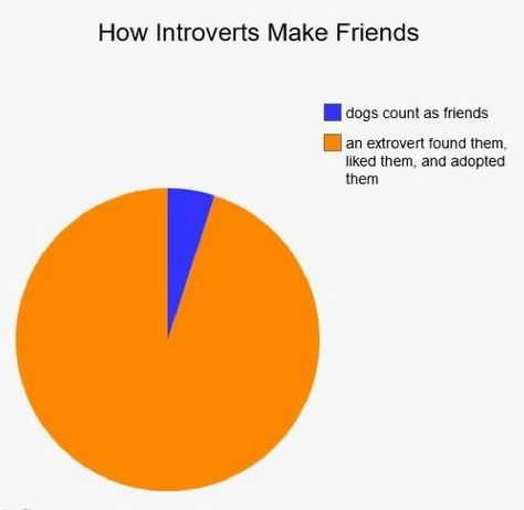 How introverts make friends - Imgur :- this is pretty much the reason I have friends How Introverts Make Friends, Introvert And Extrovert Friends, Introvert Extrovert Friendship, Awkward People, Introvert Problems, Introverts Unite, Introvert Humor, Internet Friends, 밈 유머