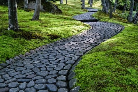 Established moss requires minimal maintenance. Moss Lawn, Walkways Paths, Stone Pathway, Moss Garden, Modern Garden Design, Stone Path, Plant Ideas, Garden Pathway, Shade Garden