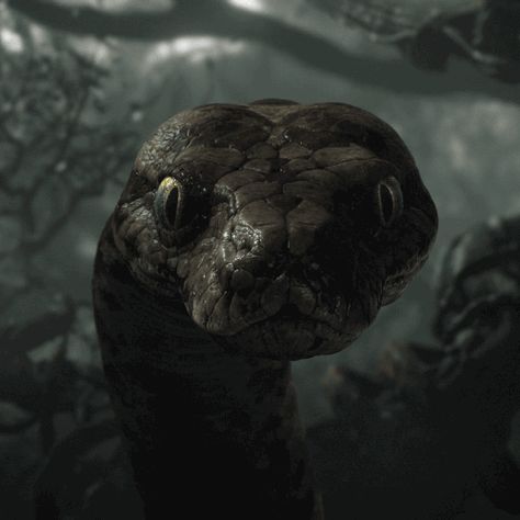 Jungle Book Snake, Kaa Jungle Book, Snake Gif, Kaa The Snake, Jungle Book 2016, Book Gif, Jungle Book Disney, Gif Wallpaper, The Jungle Book