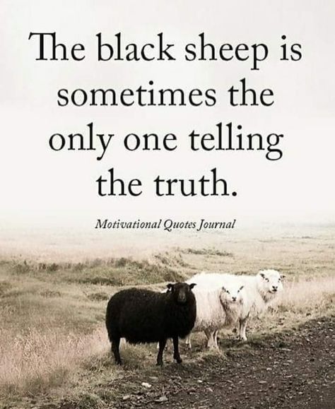 I'm the black sheep of my family and they don't like me cause I tell em like it is!!!! Funny Motivational Memes, Motivational Memes, The Black Sheep, Inspirerende Ord, Motiverende Quotes, Journal Quotes, Black Sheep, Intp, Intj