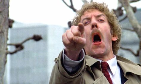 ‘We used pig squeals to create their shriek’ … how we made Invasion of the Body Snatchers | Science fiction and fantasy films | The Guardian Invasion Of The Body Snatchers 1978, Invasion Of The Body Snatchers, Spitting Image, Donald Sutherland, Small Town America, Fantasy Films, Travel Money, New Environment, Taxi Driver