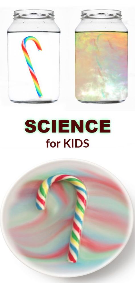 Candy Cane Experiment, Candy Cane Science, School Diy Ideas, Christmas Science Experiments, Christmas Science, Kid Experiments, Winter Preschool, Kindergarten Science, Christmas School