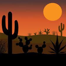 Desert cactus silhouette with sunset 1259246 Vector Art at Vecteezy Cactus Silhouette, Landscape Vector, Palm Tree Plant, Wild Animals Photography, Monochromatic Art, Plant Clips, Silhouette Painting, Plant Vector, Graphic Ideas