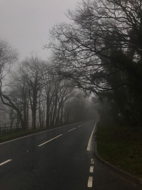 Winter Fog Aesthetic, Grey Hour Winter, Grey Hour Aesthetic, Peter Lukas, Cloudy Day Aesthetic, Gray Hour, Relaxing Thoughts, Grey Hour, Dark Rain