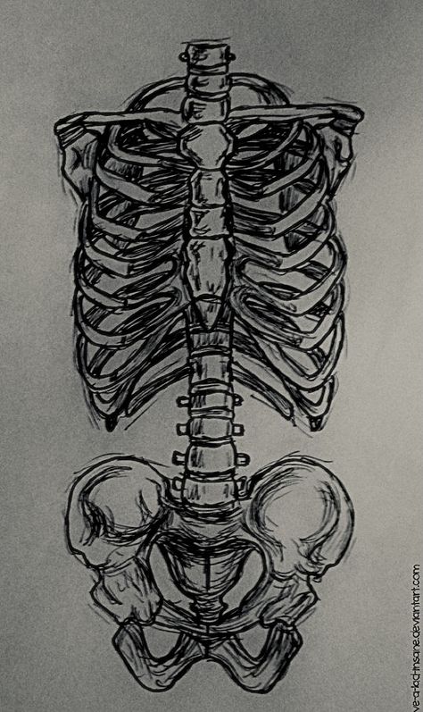 Skeleton Art Side View, Realistic Skeleton Drawing, Sketelon Drawings, Full Skeleton Drawing, Grunge Skeleton Drawing, Full Body Skeleton Drawing, Back Bone Drawing, Scelotin Drawing, Colar Bone Drawing